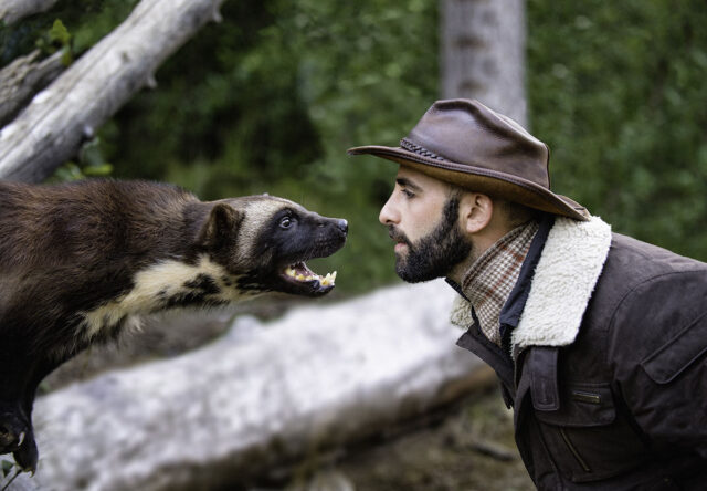 Coyote Peterson Interview | Brave Wilderness
