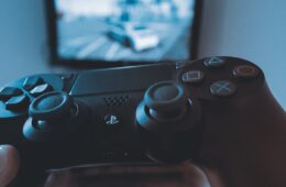Essential Tips for Online Gaming Enthusiasts