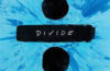 divide review