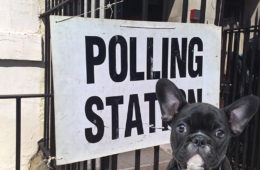 Dogs at the Polling Station