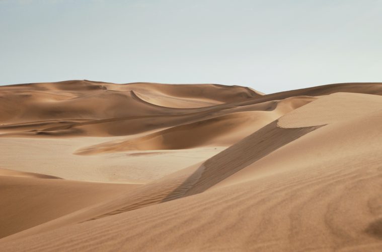 Is Dune Worth Watching? Dune Movie Review | Denis Villeneuve